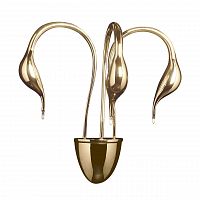 бра lightstar cigno collo 751632 в Старом Осколе