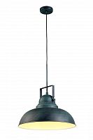 подвесной светильник arte lamp martin a5213sp-1bg в Старом Осколе