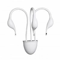 бра lightstar cigno collo wt 751636 в Старом Осколе