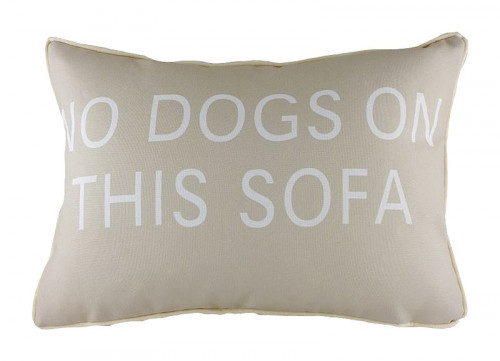 подушка с надписью no dogs on this sofa в Старом Осколе