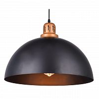 подвесной светильник arte lamp eurica a4249sp-1bk в Старом Осколе